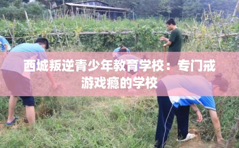 西城叛逆青少年教育学校：专门戒游戏瘾的学校