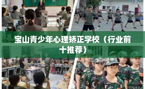 宝山青少年心理矫正学校（行业前十推荐）
