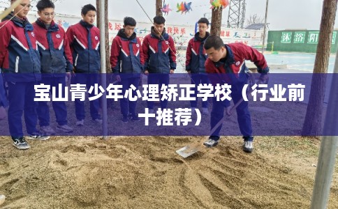 宝山青少年心理矫正学校（行业前十推荐）