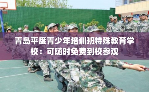 青岛平度青少年培训班特殊教育学校：可随时免费到校参观