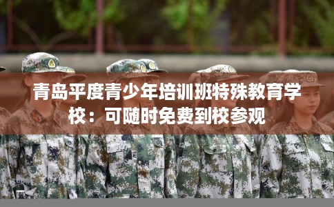 青岛平度青少年培训班特殊教育学校：可随时免费到校参观