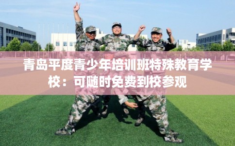 青岛平度青少年培训班特殊教育学校：可随时免费到校参观