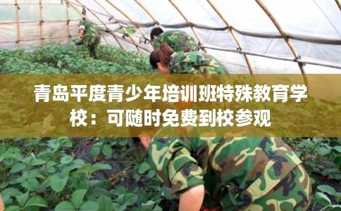 青岛平度青少年培训班特殊教育学校：可随时免费到校参观