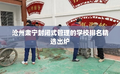沧州肃宁封闭式管理的学校排名精选出炉
