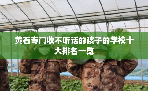 黄石专门收不听话的孩子的学校十大排名一览
