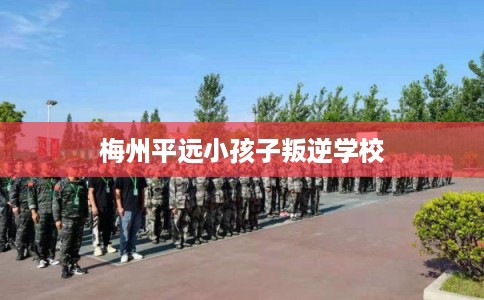 梅州平远小孩子叛逆学校
