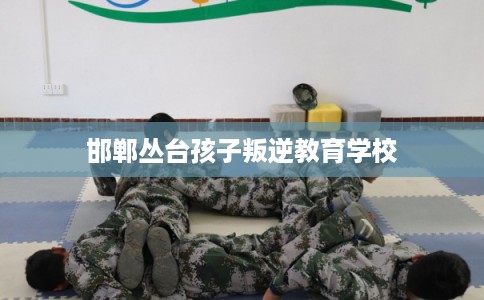 邯郸丛台孩子叛逆教育学校 邯郸丛台孩子叛逆教育学校