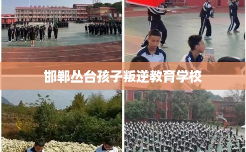 邯郸丛台孩子叛逆教育学校