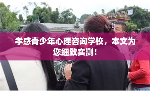 孝感青少年心理咨询学校，本文为您细致实测！