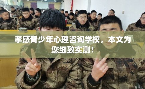 孝感青少年心理咨询学校，本文为您细致实测！