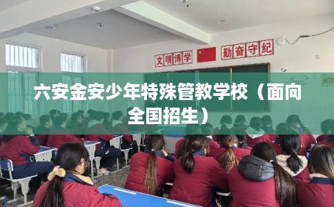 六安金安少年特殊管教学校（面向全国招生）