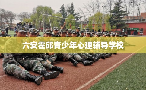 六安霍邱青少年心理辅导学校