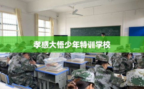 孝感大悟少年特训学校