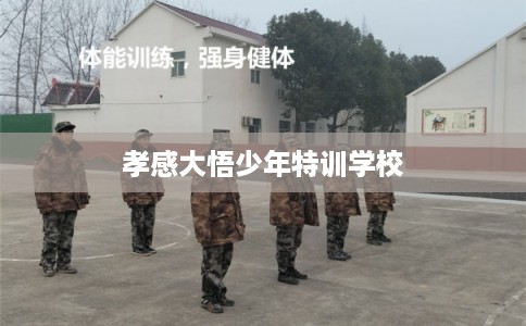 孝感大悟少年特训学校