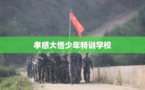 孝感大悟少年特训学校