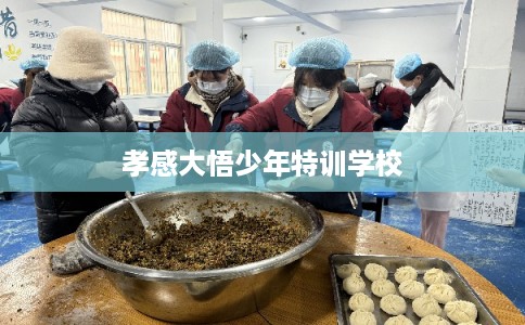 孝感大悟少年特训学校