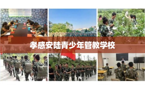 孝感安陆青少年管教学校 孝感安陆青少年管教学校