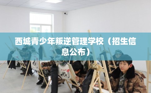 西城青少年叛逆管理学校(招生信息公布) 西城青少年叛逆管理学校(招生信息公布)