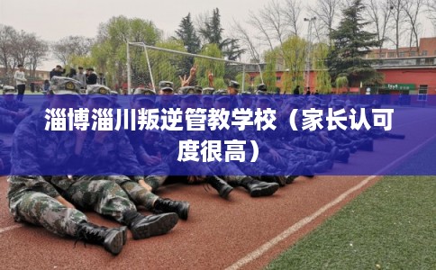 淄博淄川叛逆管教学校(家长认可度很高) 淄博淄川叛逆管教学校(家长认可度很高)