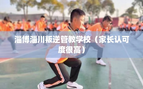 淄博淄川叛逆管教学校(家长认可度很高) 淄博淄川叛逆管教学校(家长认可度很高)