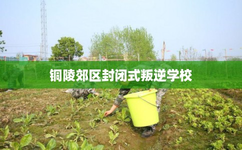 铜陵郊区封闭式叛逆学校