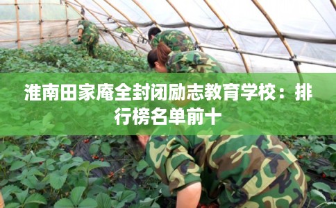 淮南田家庵全封闭励志教育学校：排行榜名单前十