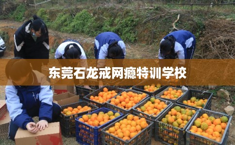 东莞石龙戒网瘾特训学校