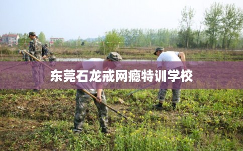 东莞石龙戒网瘾特训学校