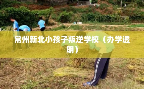 常州新北小孩子叛逆学校(办学透明) 常州新北小孩子叛逆学校(办学透明)
