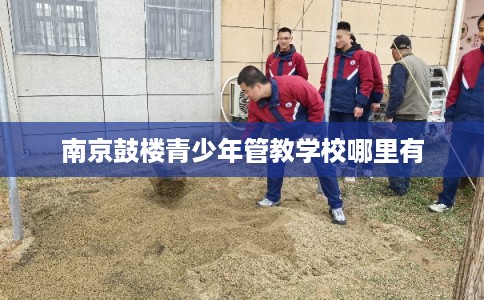 南京鼓楼青少年管教学校哪里有