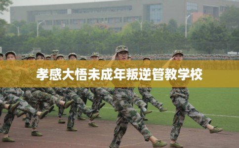孝感大悟未成年叛逆管教学校 孝感大悟未成年叛逆管教学校