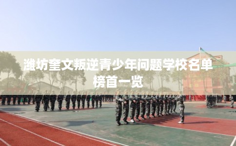 潍坊奎文叛逆青少年问题学校名单榜首一览 潍坊奎文叛逆青少年问题学校名单榜首一览