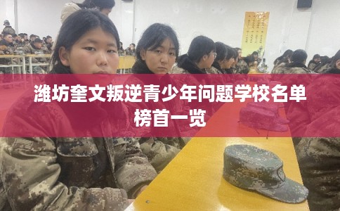 潍坊奎文叛逆青少年问题学校名单榜首一览 潍坊奎文叛逆青少年问题学校名单榜首一览