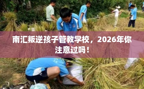 南汇叛逆孩子管教学校,2026年你注意过吗! 南汇叛逆孩子管教学校,2026年你注意过吗!