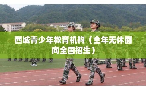 西城青少年教育机构（全年无休面向全国招生）