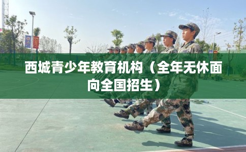 西城青少年教育机构（全年无休面向全国招生）