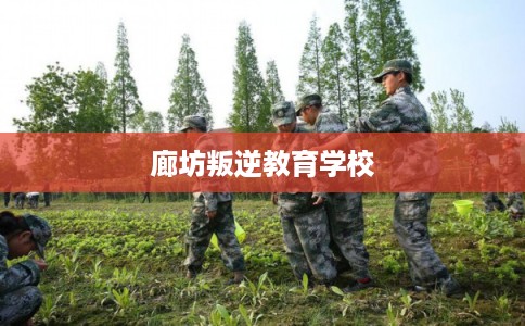 廊坊叛逆教育学校 廊坊叛逆教育学校