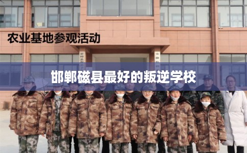 邯郸磁县最好的叛逆学校