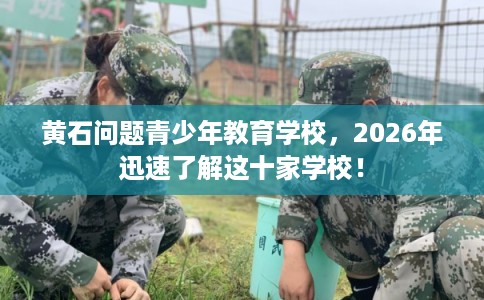 黄石问题青少年教育学校,2026年迅速了解这十家学校! 黄石问题青少年教育学校,2026年迅速了解这十家学校!
