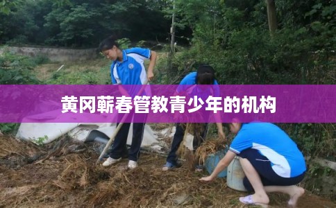黄冈蕲春管教青少年的机构