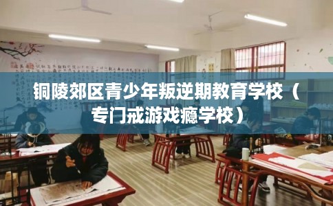 铜陵郊区青少年叛逆期教育学校（专门戒游戏瘾学校）