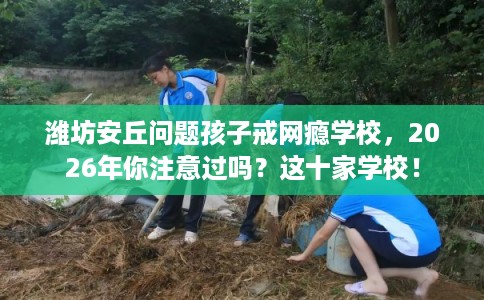 潍坊安丘问题孩子戒网瘾学校，2026年你注意过吗？这十家学校！