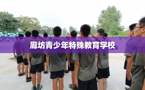 廊坊青少年特殊教育学校 廊坊青少年特殊教育学校