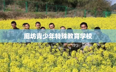 廊坊青少年特殊教育学校