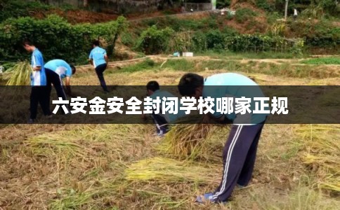 六安金安全封闭学校哪家正规