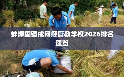 蚌埠固镇戒网瘾管教学校2026排名速览 蚌埠固镇戒网瘾管教学校2026排名速览