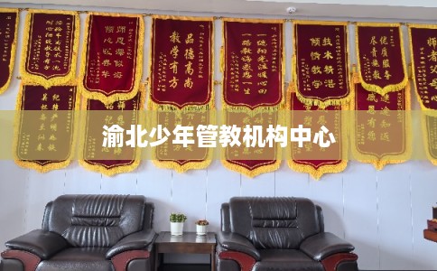 渝北少年管教机构中心 渝北少年管教机构中心