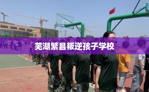 芜湖繁昌叛逆孩子学校