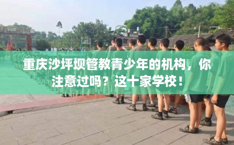 重庆沙坪坝管教青少年的机构，你注意过吗？这十家学校！