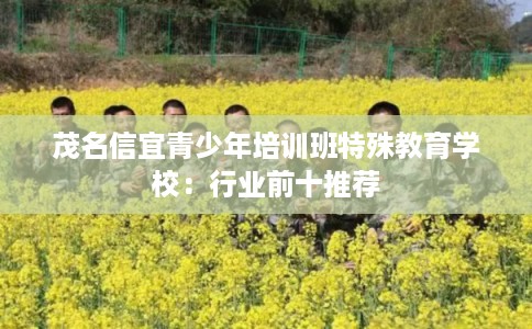 茂名信宜青少年培训班特殊教育学校：行业前十推荐
